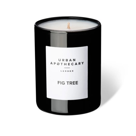Urban Apothecary Fig Tree. Luxury Scented Candle