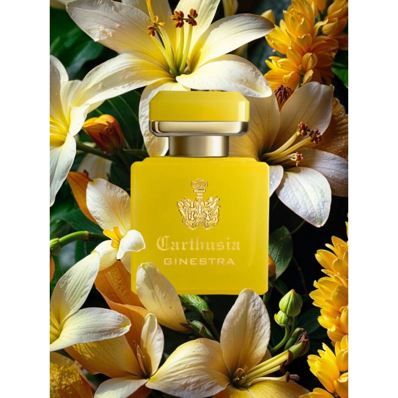 INTENSO DI GINESTRA Carthusia, 50ml