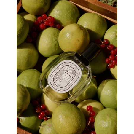 ILIO EAU DE TOILETTE, Diptyque 100ml