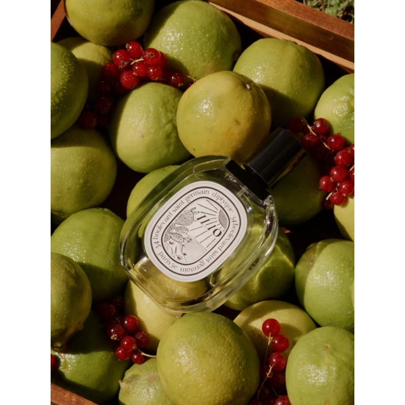 ILIO EAU DE TOILETTE, Diptyque 100ml