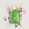 WILD VETIVER EDP 100ml. Creed